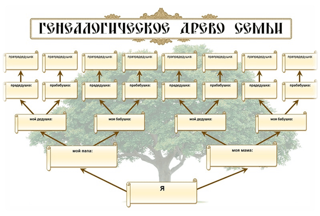 Картинки по запросу Древо родовых сценариев