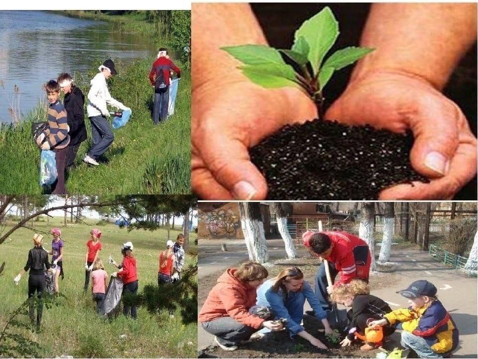 Улучшим экологию в отдельно взятом районе презентация
