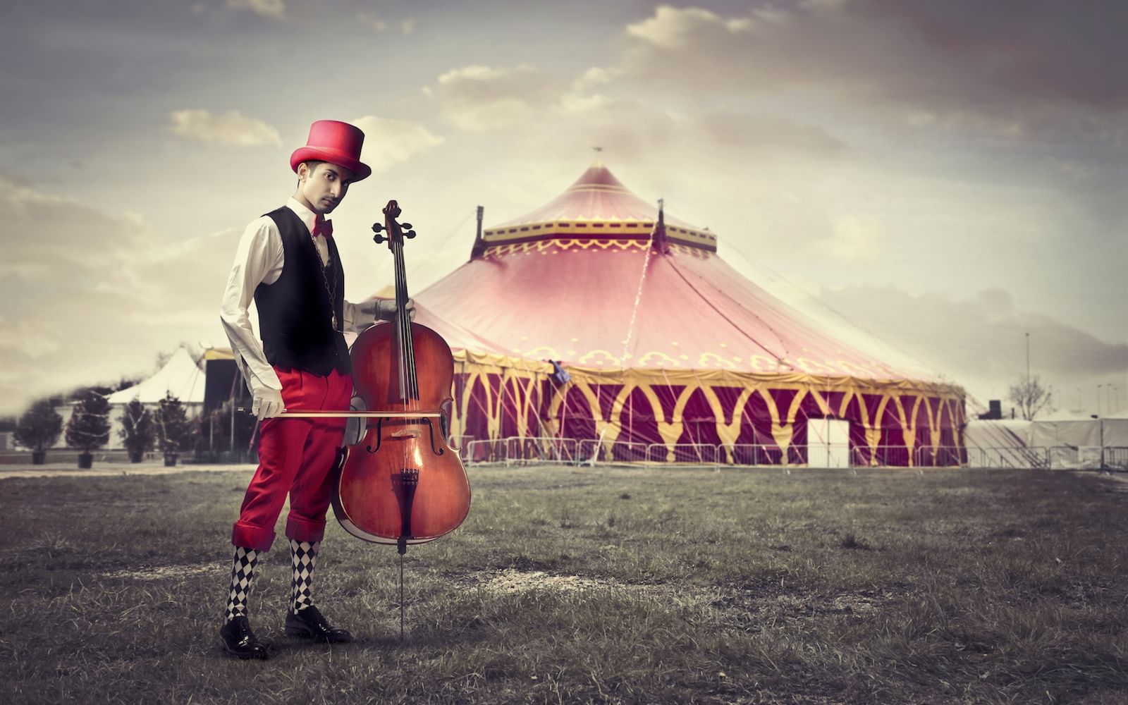 музыку цирка включить. музыку цирка включить. цирковые трюки на велосипеде. музыкальный цирк. музыку цирка включить.