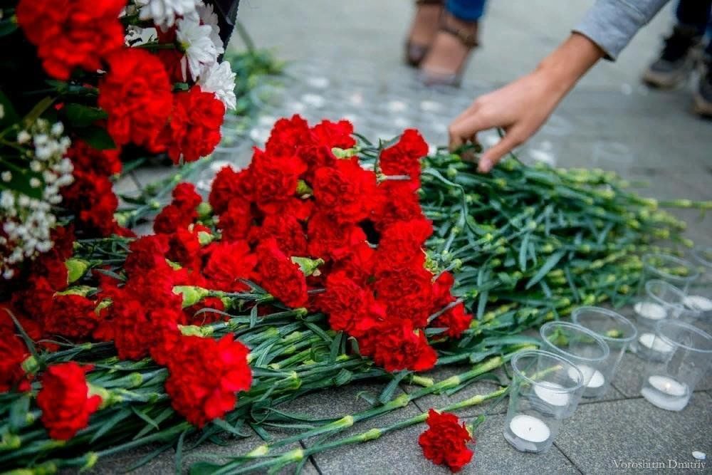 Как называется день памяти. День памяти жертв терроризма. Гвоздики возложение. Цветы памяти.