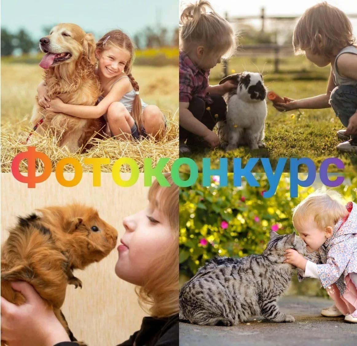 Это мой любимчик