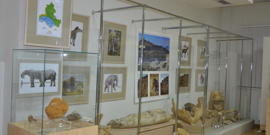Основное изображение для события Выставка «Эволюция животного мира Донского края»
