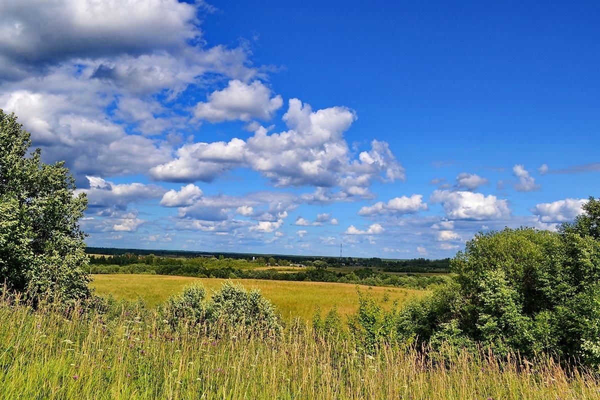 Фото родного края