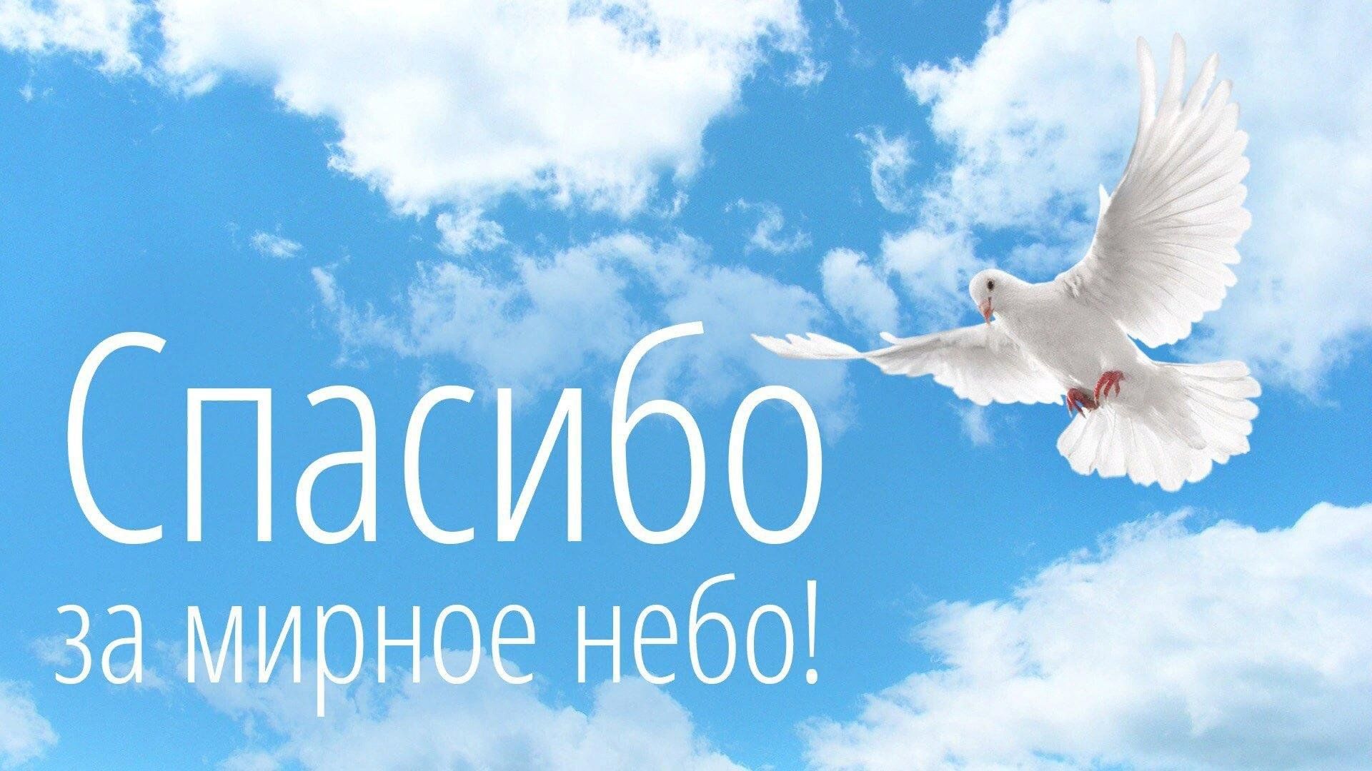 Спасибо вам за мирное небо над головой картинка