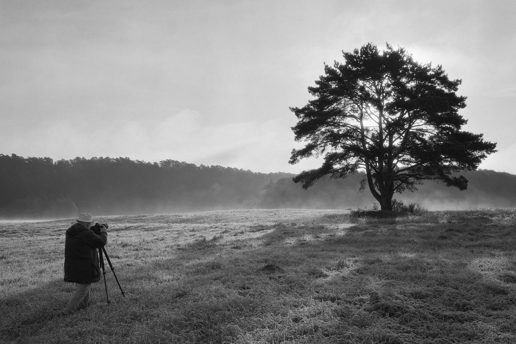 Художественный прием пейзаж. Анатолий Черкасов фотограф. Платинотипия. Фотограф Анатолий Черкасов платина. Фотограф Черкасов Анатолий Николаевич.