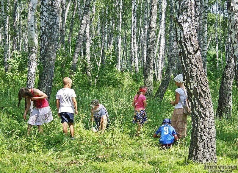 Поляна рассказ. Дети на экскурсии в лесу. Дети в Березовом лесу. Березовая роща для детей. Прогулка в березовой роще.