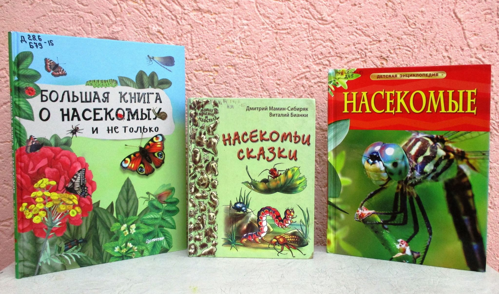 насекомые в книгах фото