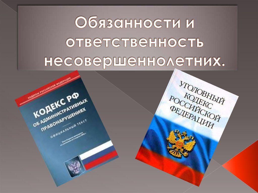 Имущественные права и ответственность несовершеннолетних 9 класс 8 вид презентация