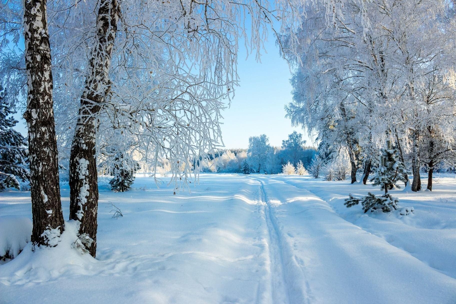 Картинка зимний день