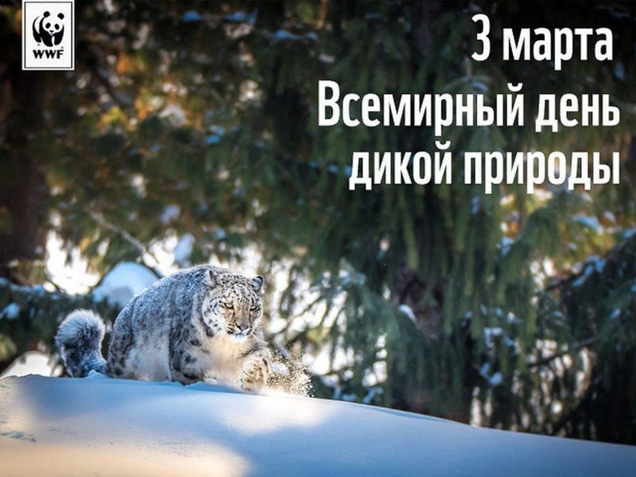 День дикой природы