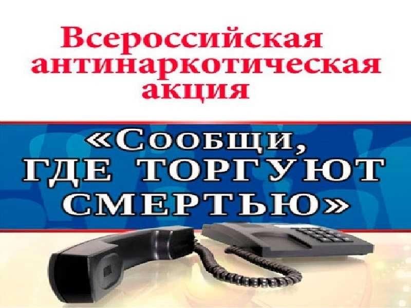 Сообщи где торгуют смертью картинки