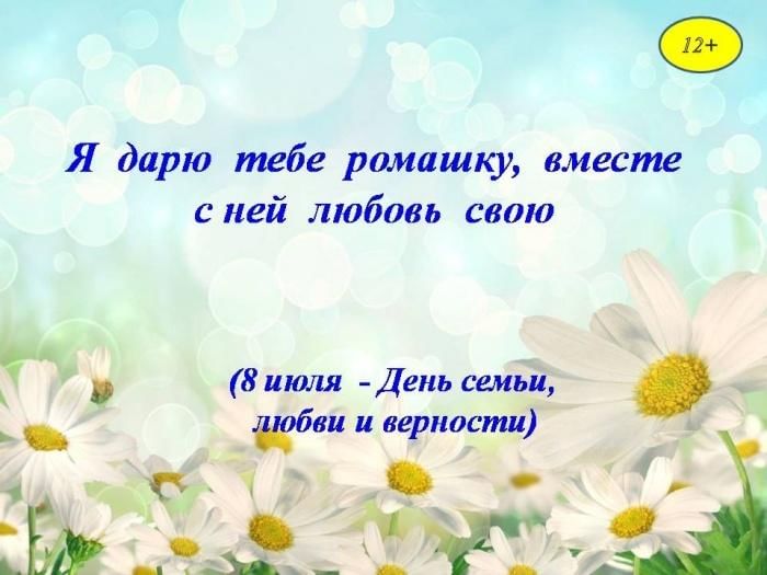 Подари мне семья читать. Я дарю тебе ромашку. Ромашка день семьи. Подарю тебе ромашку. Дарите ромашки любимым.