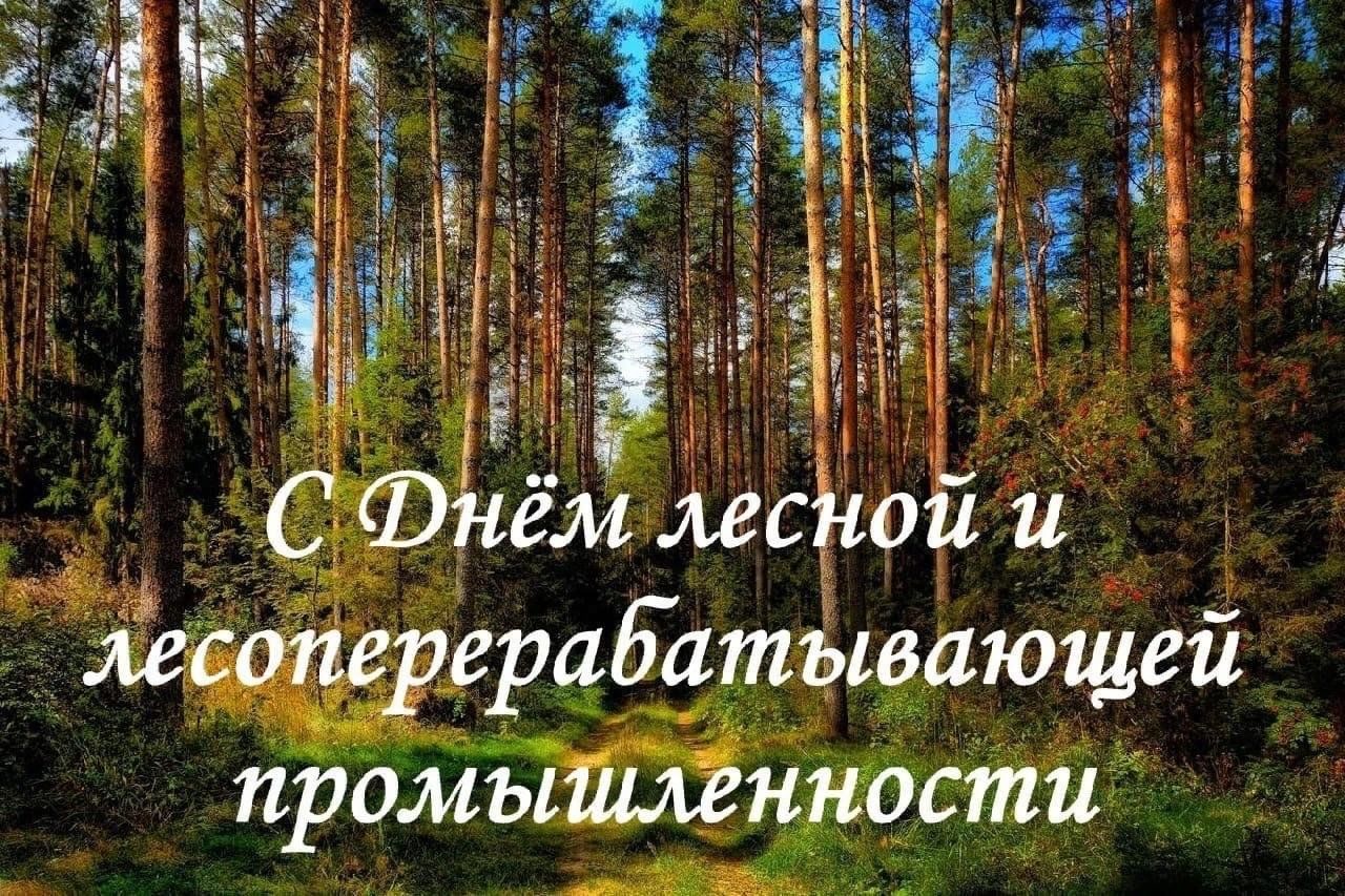 День работника лесной промышленности картинки Беседа "Волшебный мир леса" 2023, Новошешминский район - дата и место проведения