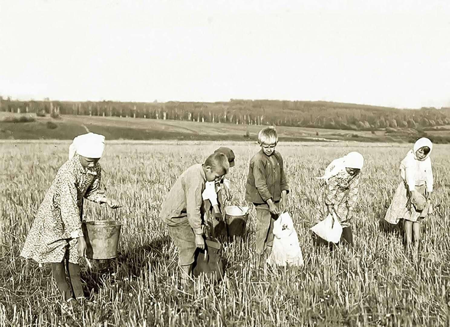 Проект мое село в годы войны