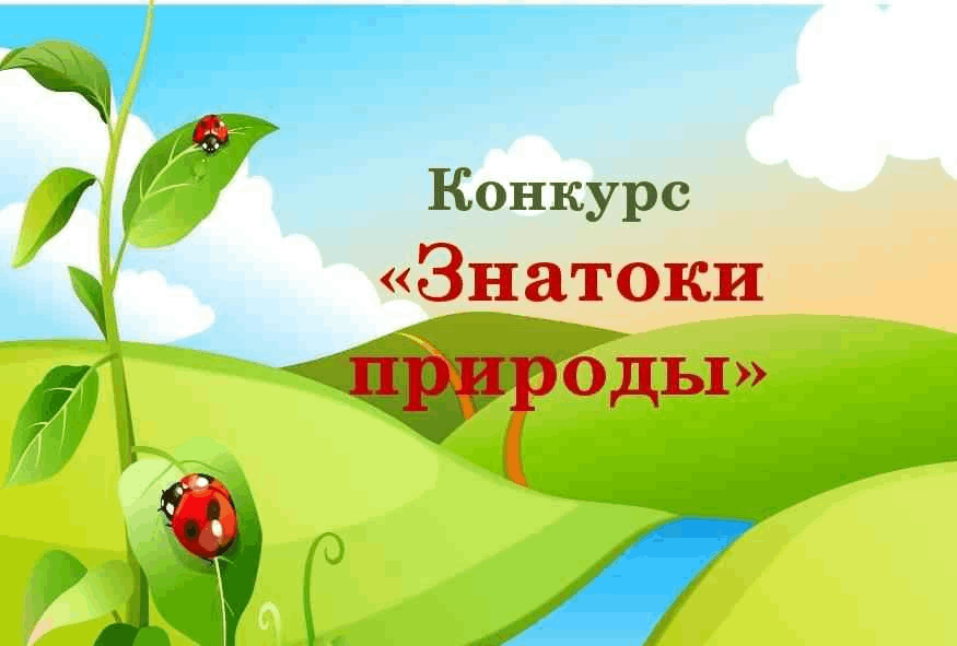 Знатоки природы. Знатоки природы презентация. Конкурс знатоки природы. Грамота знатоки природы. Грамоты знатоки природы для детей.