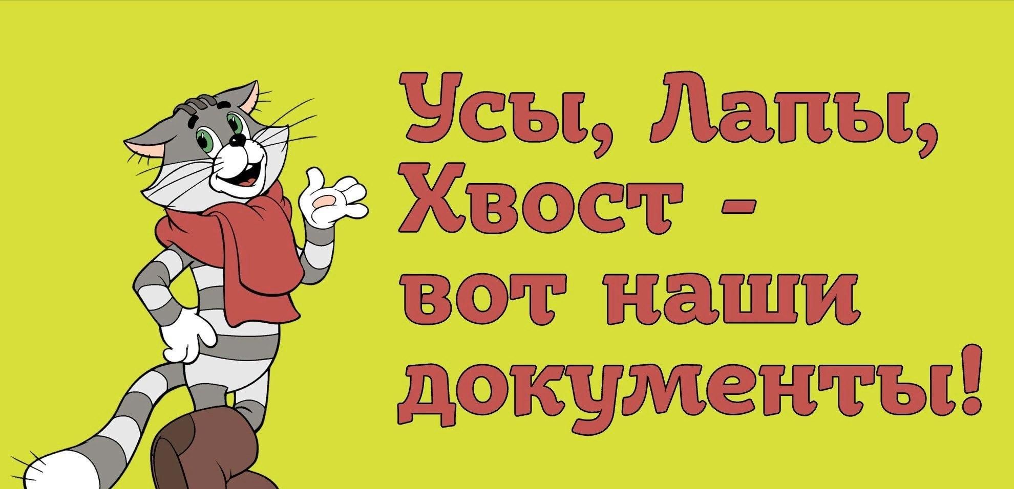 усы лапы и хвост мои документы. матроскин документы. усы лапы и хвост вот. усы лапы и хвост вот мои доказательства. уши лапы и хвост вот мои документы.