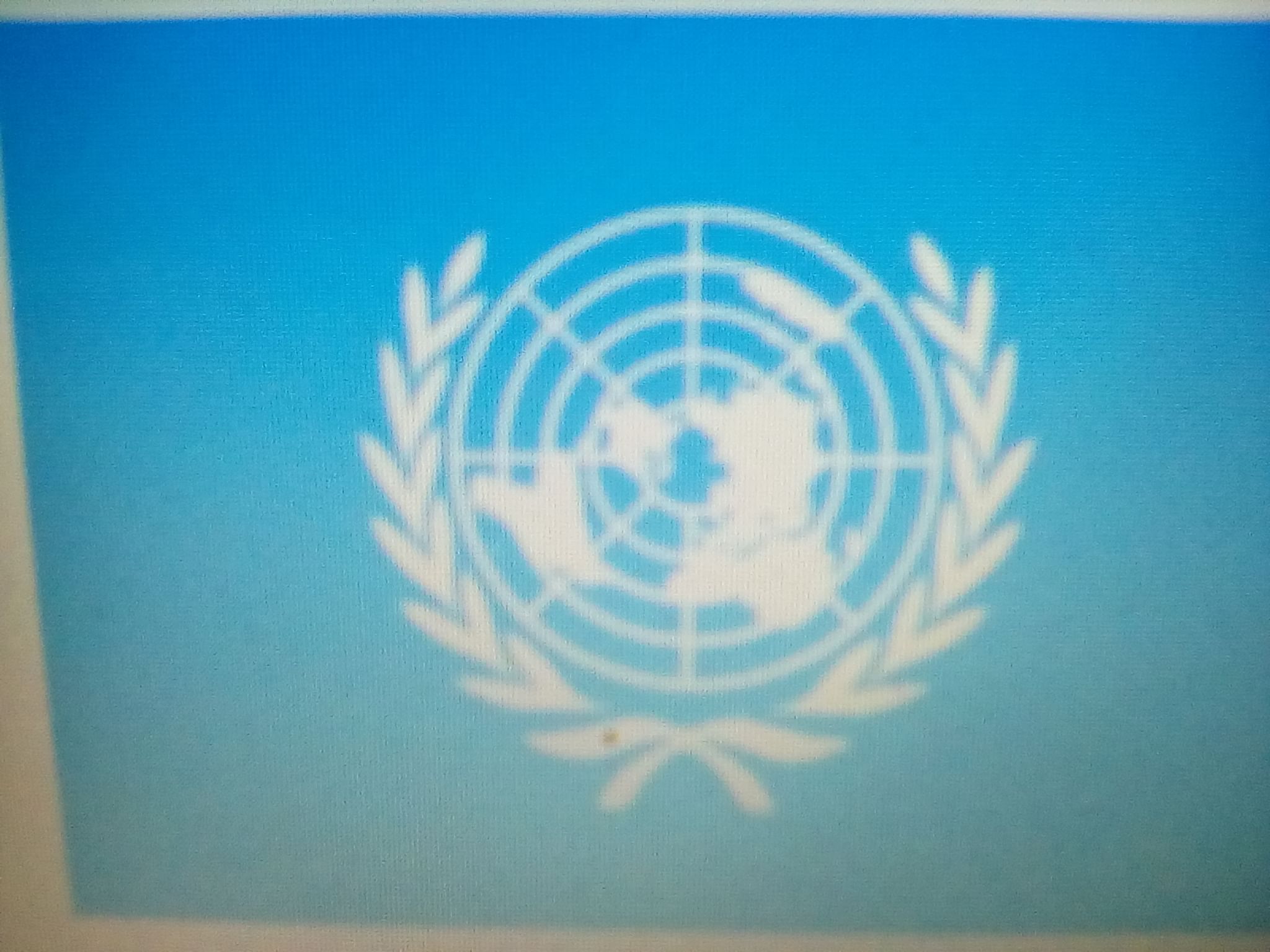 Оон 2020. Радужный флаг ООН. Флаг ООН Донецка. День ООН 24 октября картинки. Флаг ООН Копировать смайлик.