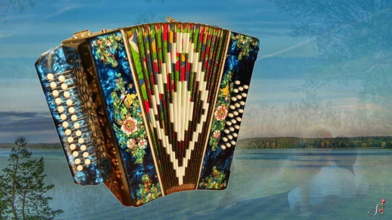 Песни под гармонь для души текст. Красивая гармонь. Душа гармошки. Душа гармошки. Ершов деревенский гармонист.