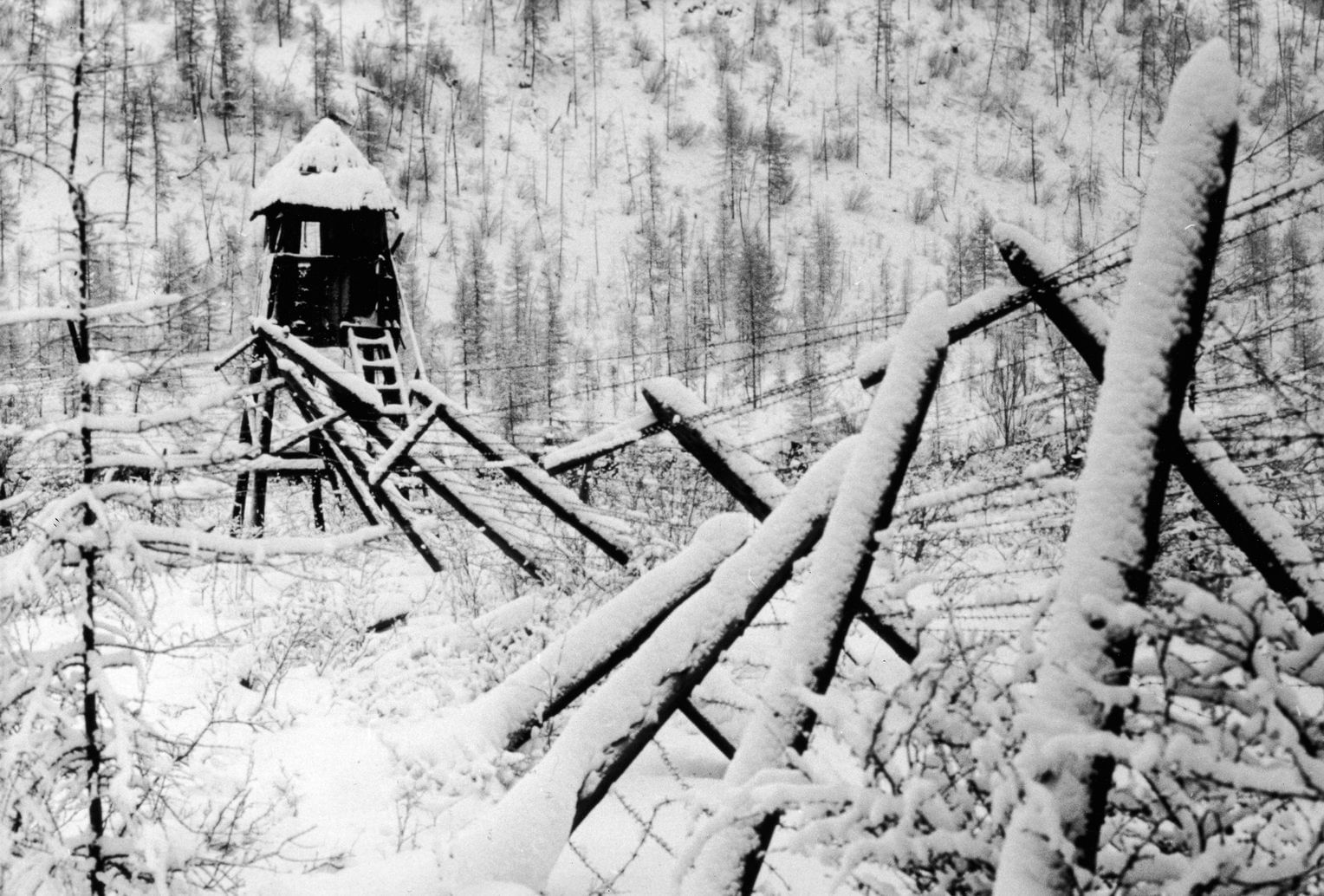 Гулаг фото. Ивдель лагерь ГУЛАГА. Сибирский лагерь ГУЛАГ. ГУЛАГ лагерь Лесоповал.