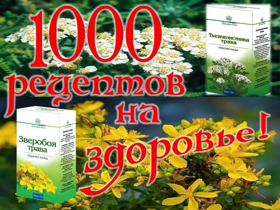 Сайт 1000 рецептов