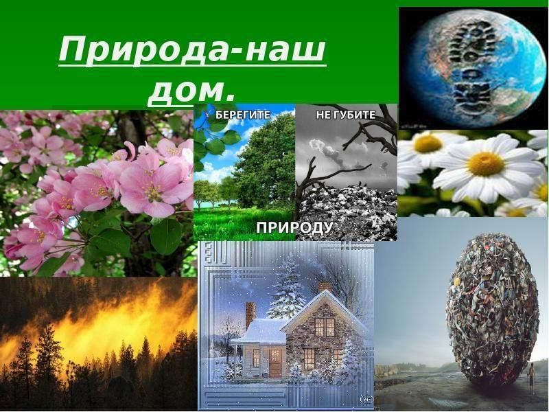 Природа наш дом презентация