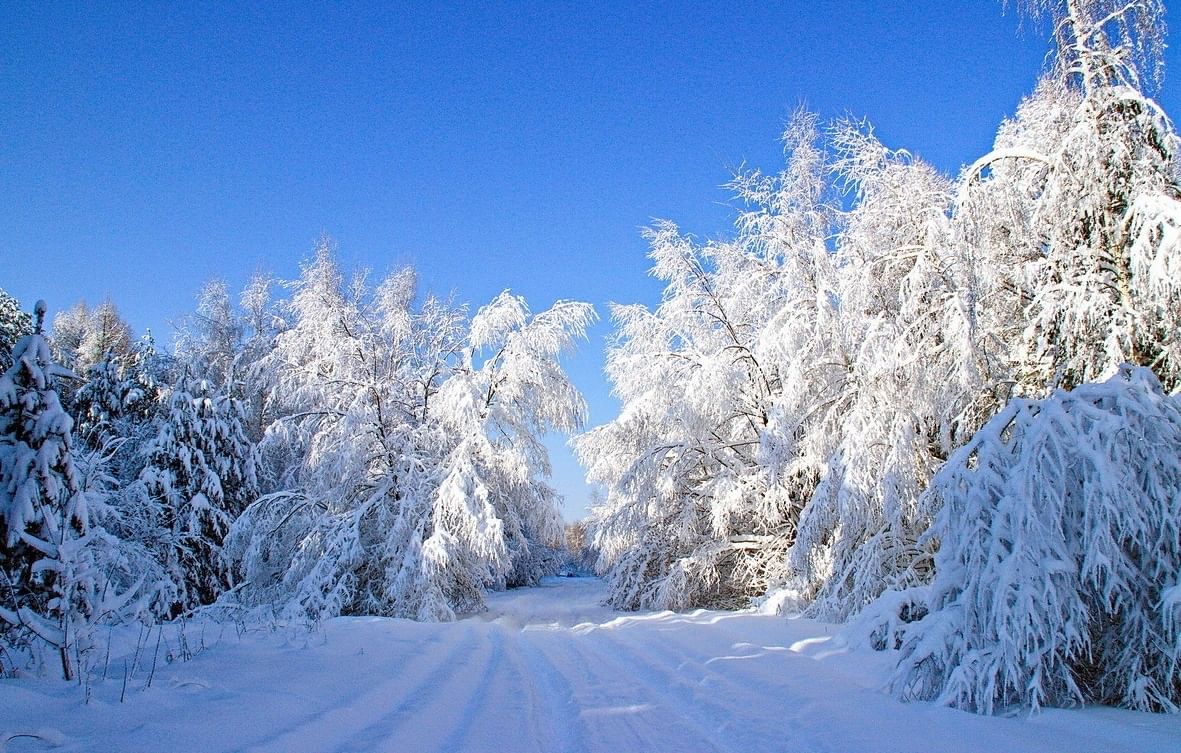 Конкурс фотографий зимняя сказка