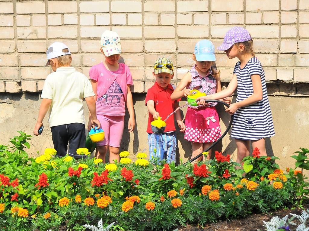 Цветы на клумбе в детском саду фото