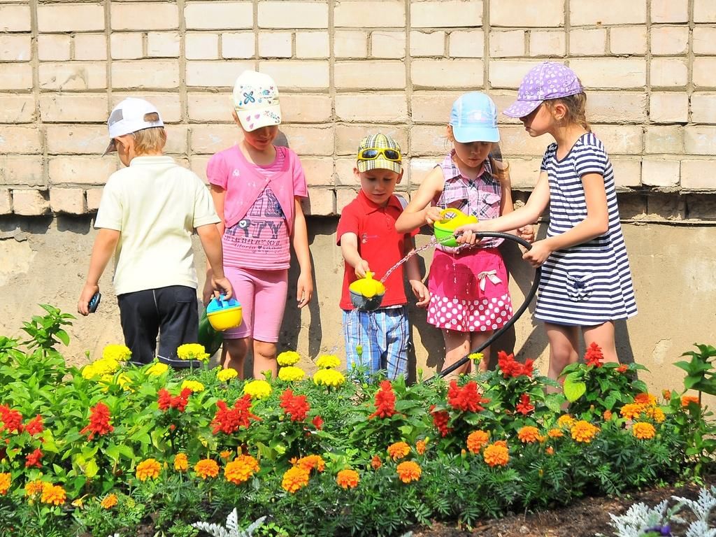 Акция подари цветок детскому саду картинки