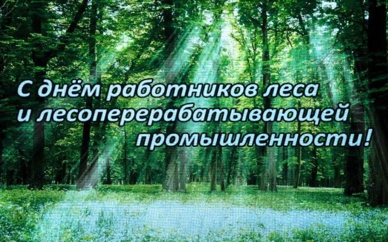 День работника лесной промышленности картинки С Днём работников леса" 2021, Мурашинский район - дата и место проведения, прогр