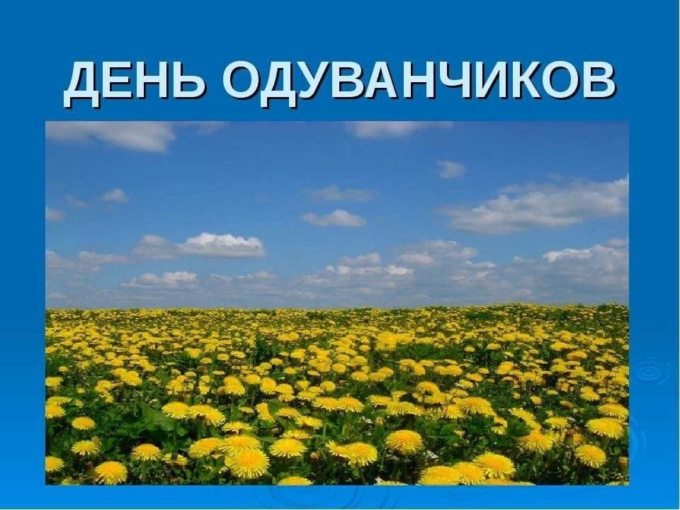 Всемирный день одуванчика картинки