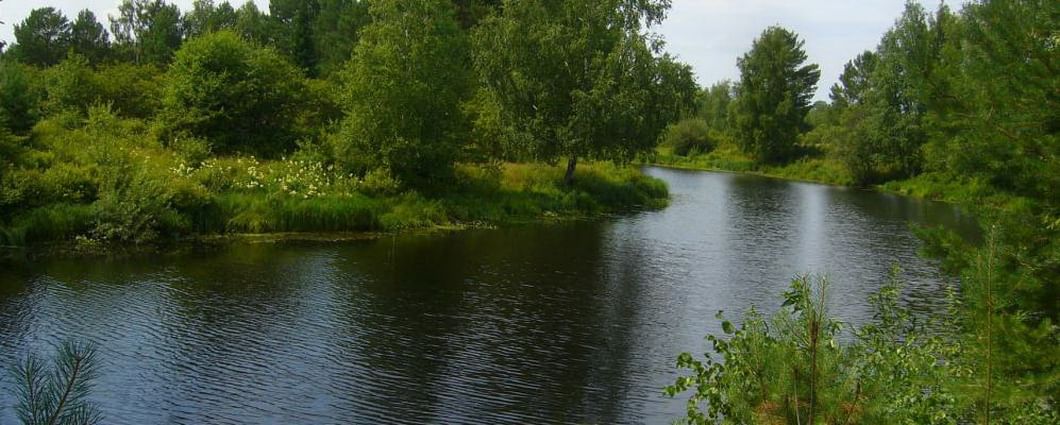 Река Чузик. Останино Томская область. Пудино. Село Пудино.