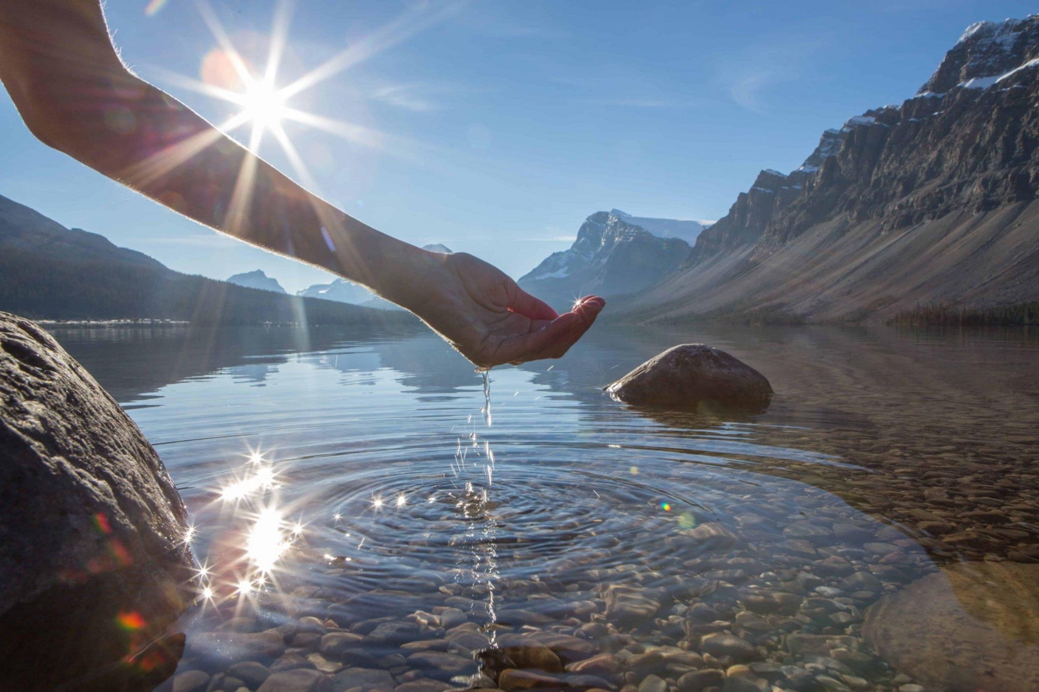 Картинки водная жизнь