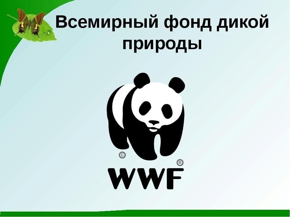 Всемирный фонд дикой природы фото