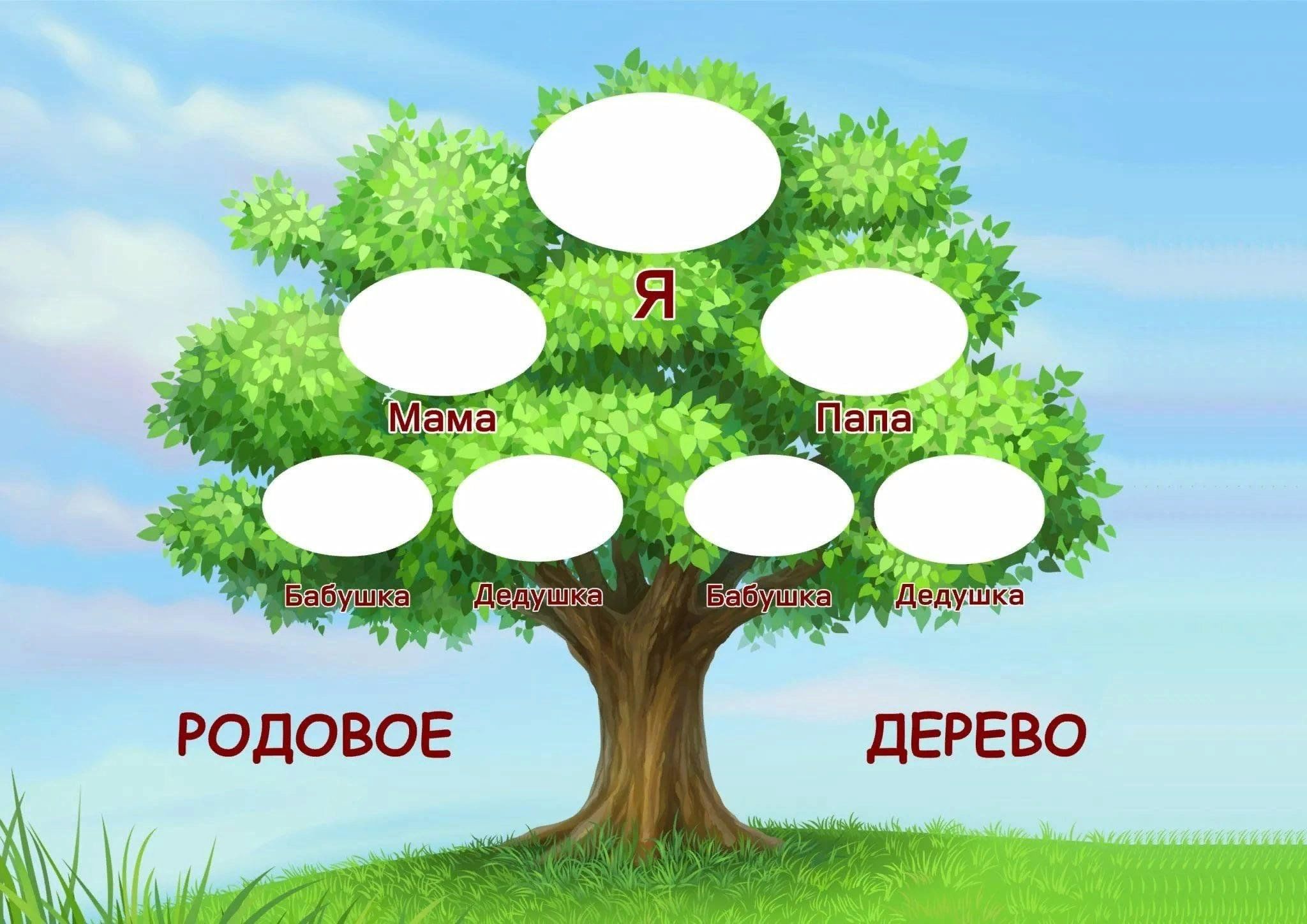 Создание генеалогического древа семьи 2024, Кукморский район — дата и место  проведения, программа мероприятия.