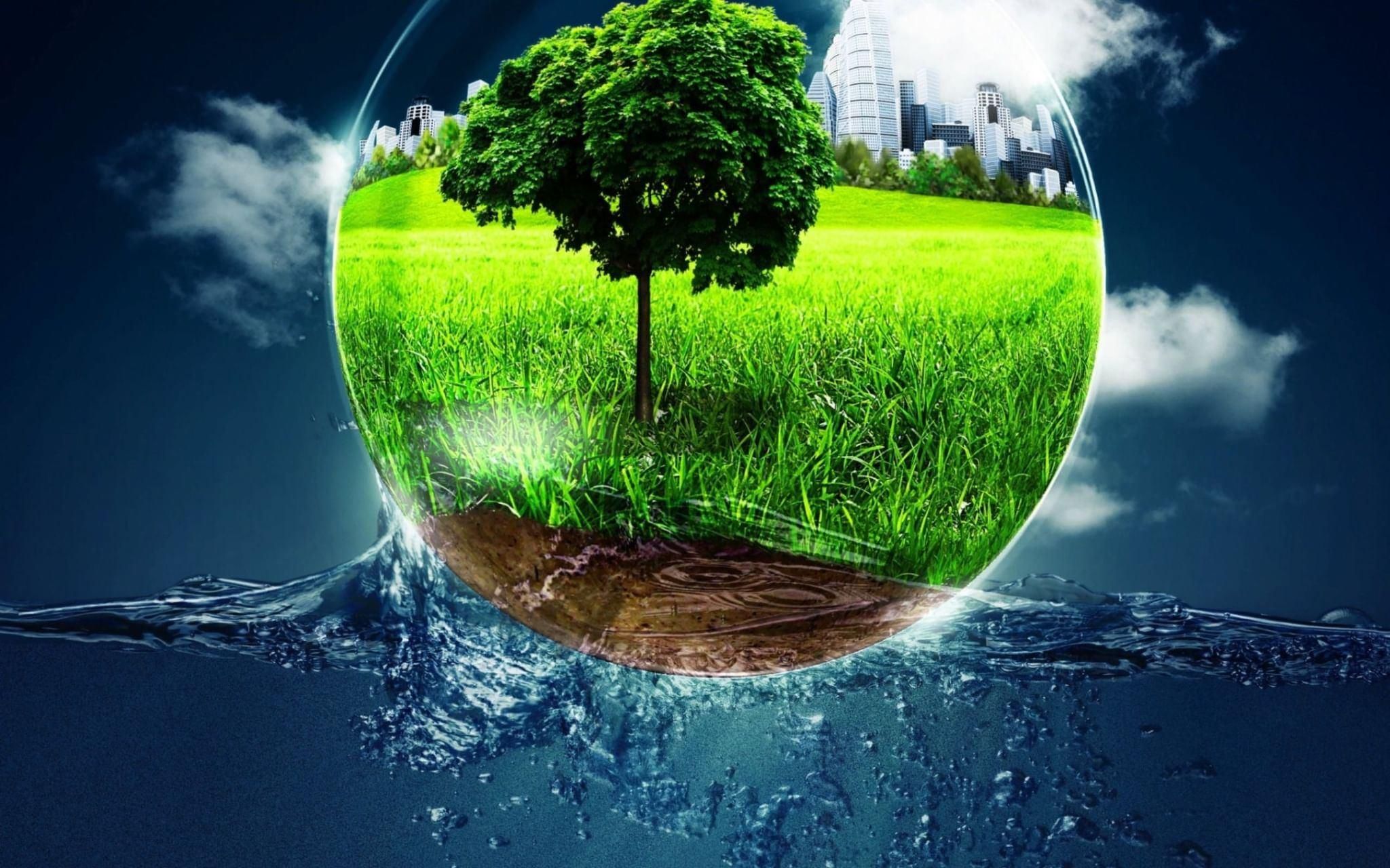 Экология и окружающая среда