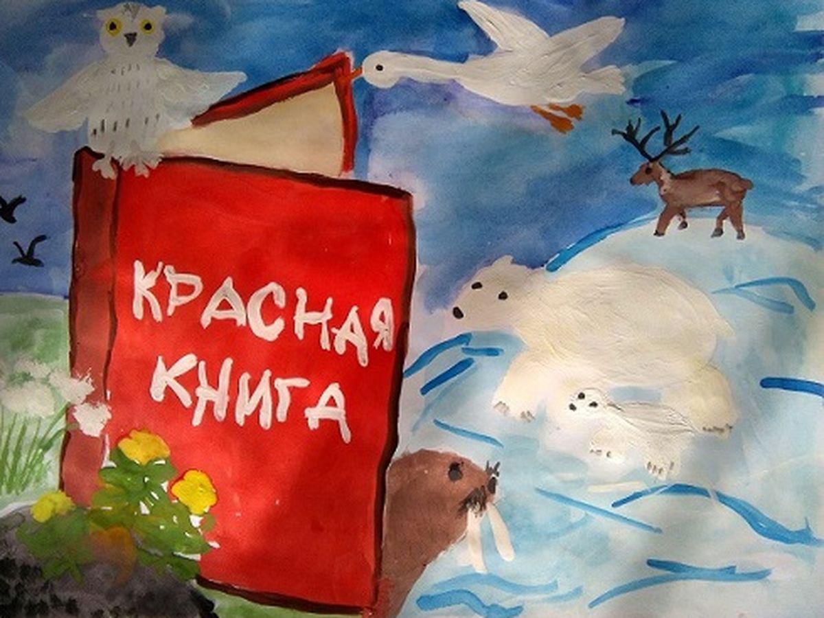 Рисунок как выглядит красная книга
