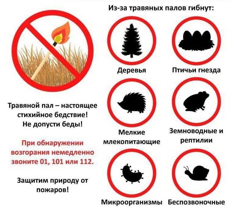 Пал 2024 отборы