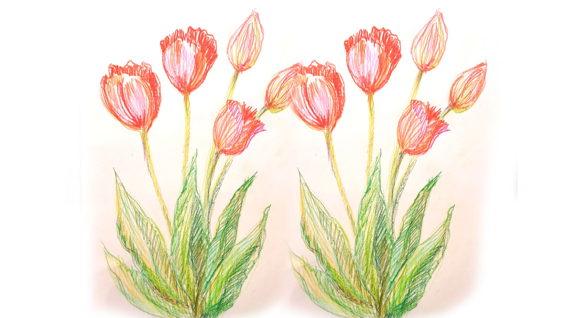 Весенние цветы рисунок карандашом цветным