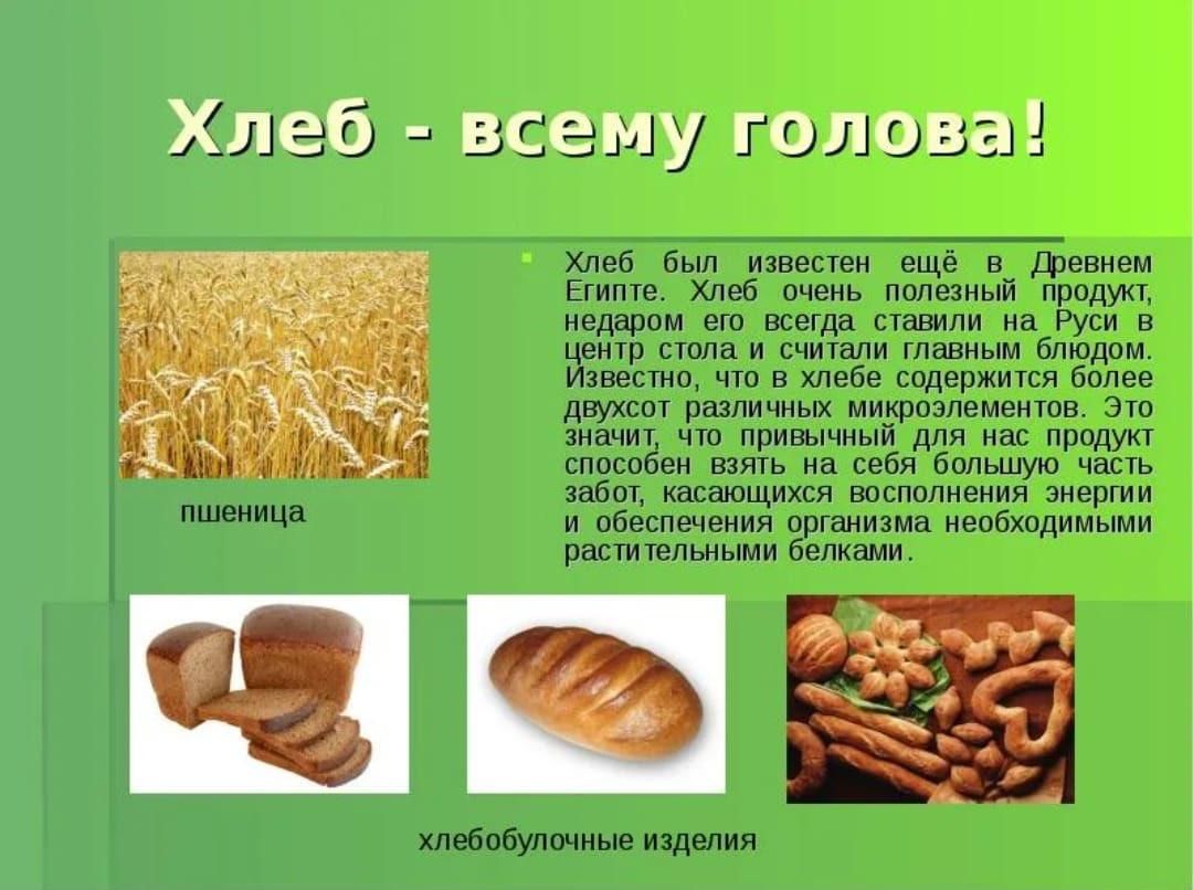 Хлеб какое значение. Хлеб всему голова. Хлеб всему голова вывод. Доклад на тему хлеб всему голова. Что обозначает хлеб всему голова.