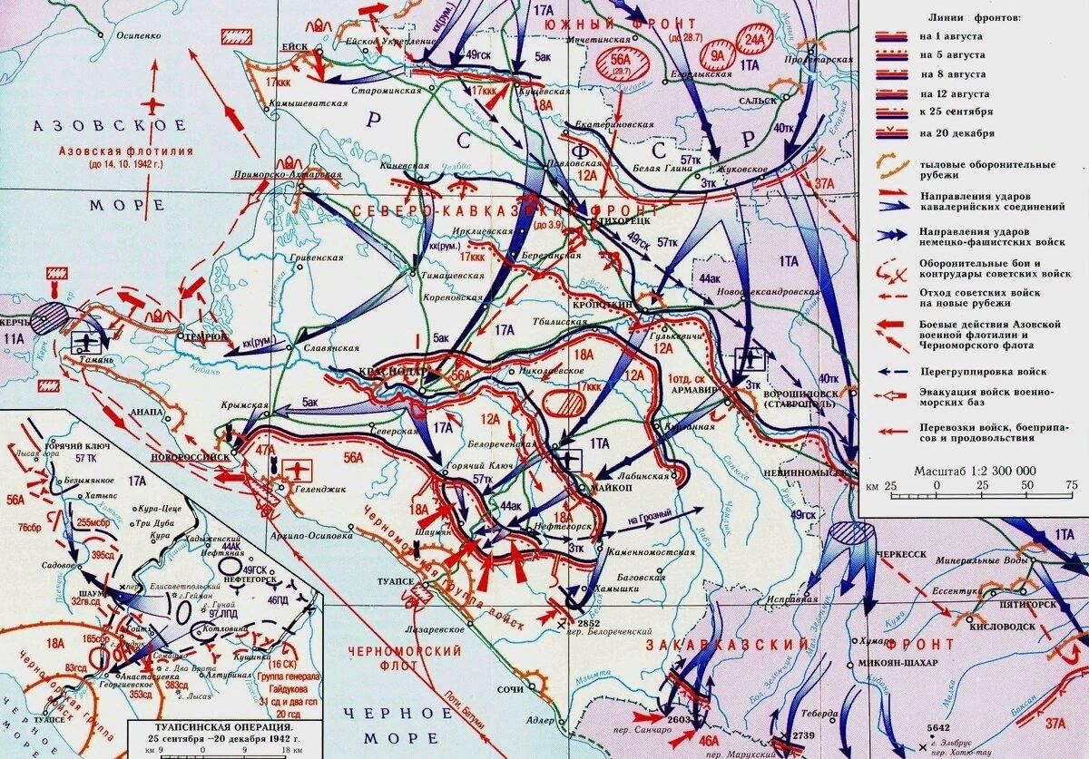 Сколько немецко фашистских захватчиков. Битва за Кавказ 1942-1943 голубая линия. Карта боевых действий ВОВ Краснодарский край. Карты сражений на Кубани 1942 года. Освобождение Кубани 1942-1943.