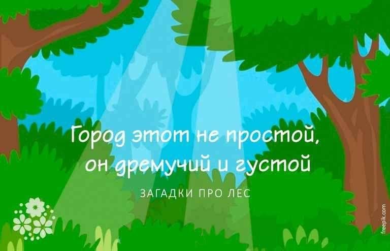 В рамках акции "Неделя экологической грамотности" в младшей группе "Стрекоза" бы