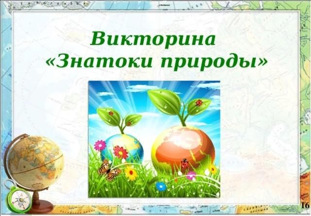 Знатоки природы викторина для начальной школы презентация