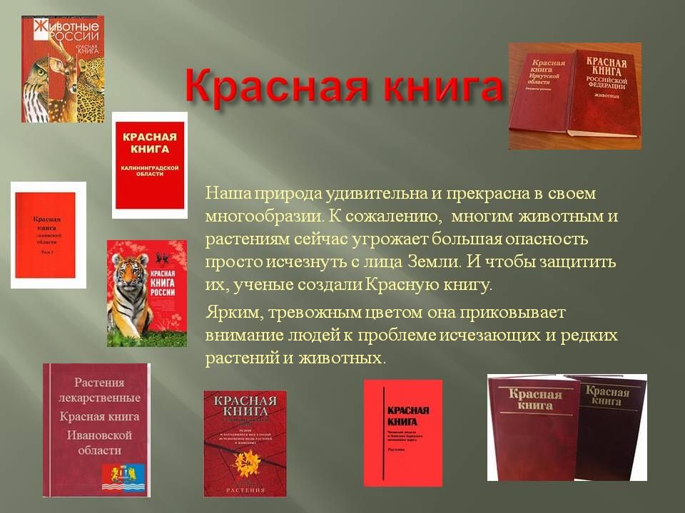 Включи красную книгу. Всемирная красная книга животных и растений. Красная книга России. Международная красная книга. Красный.