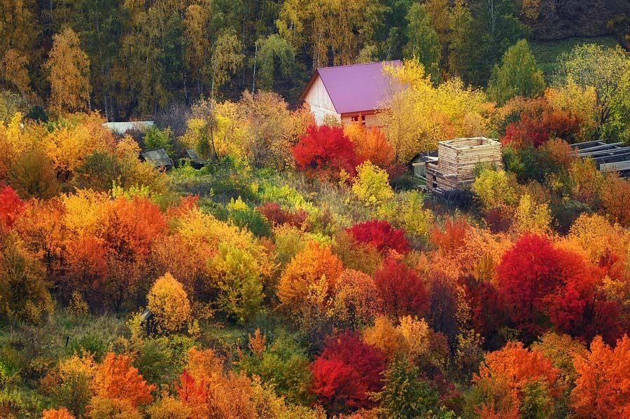 Разноцветная осень фото