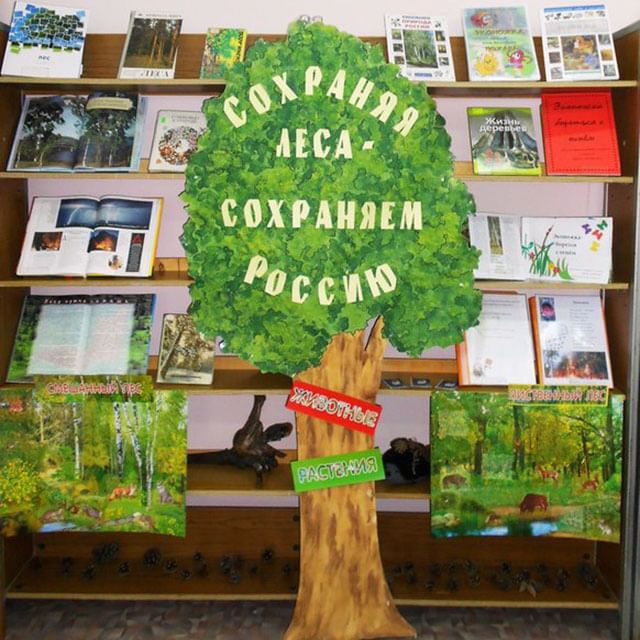 Лес сценарий. День леса выставка. Мероприятия по экологии в библиотеке. Книжная выставка про Лис. День леса книжная выставка.