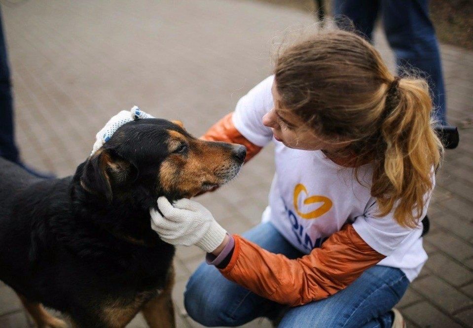 Картинки люди делают добро