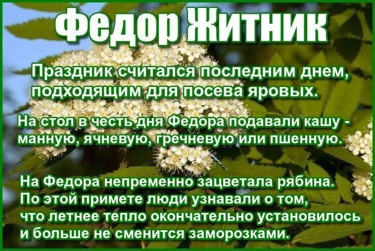 Федор житник картинки с надписями