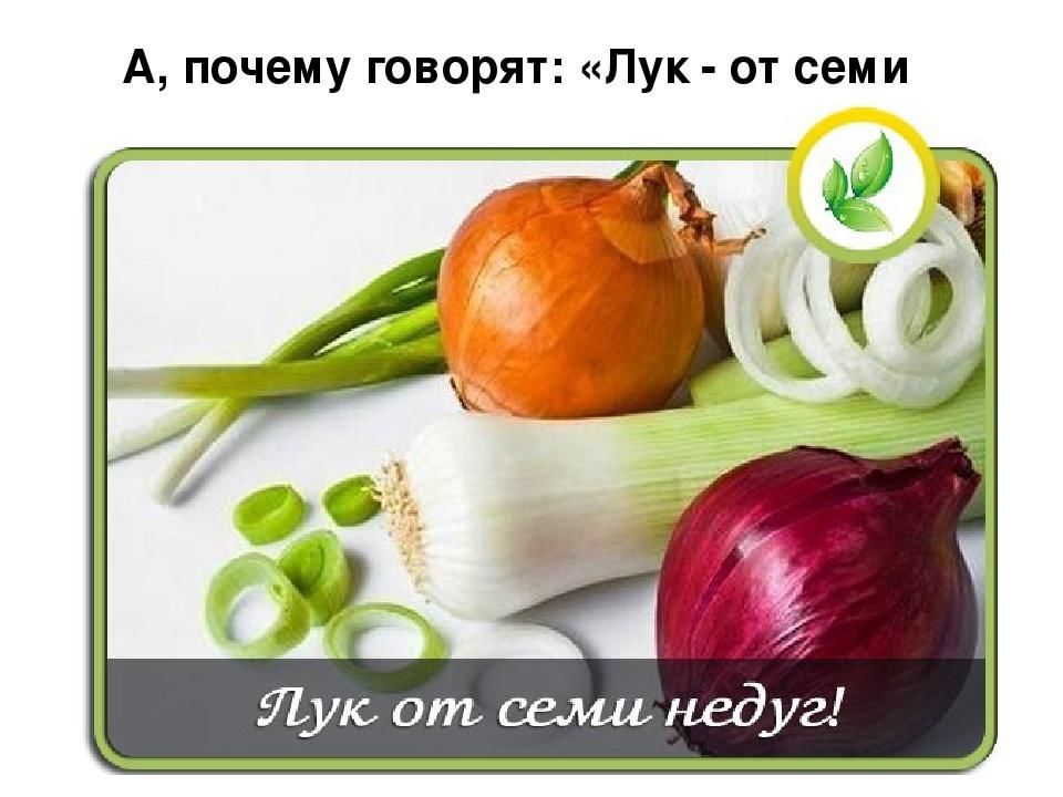 Лук от семи недуг картинка для детей