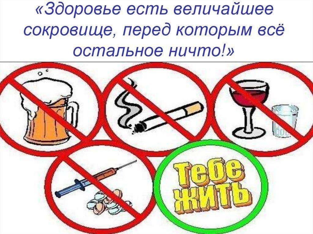 Вредные привычки и их профилактика проект