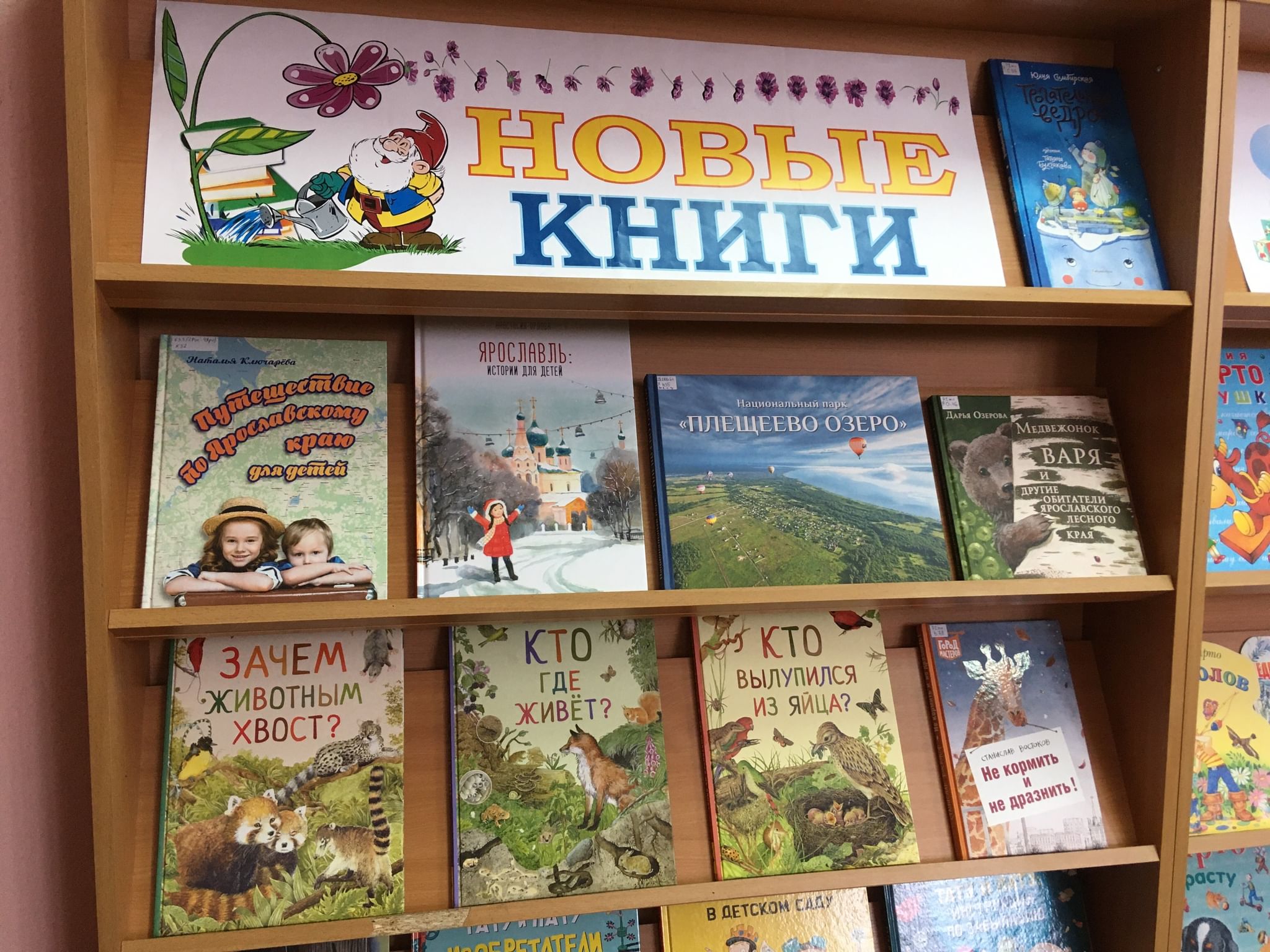 Проект выставка книг